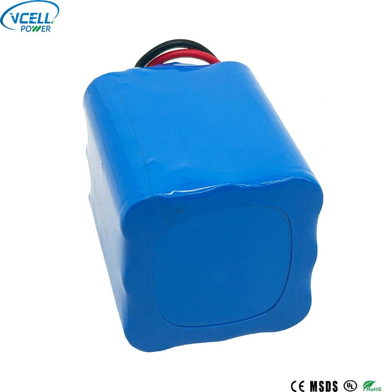 Pek Bateri LiFePo4 9.6V 6000mAh IFR18650